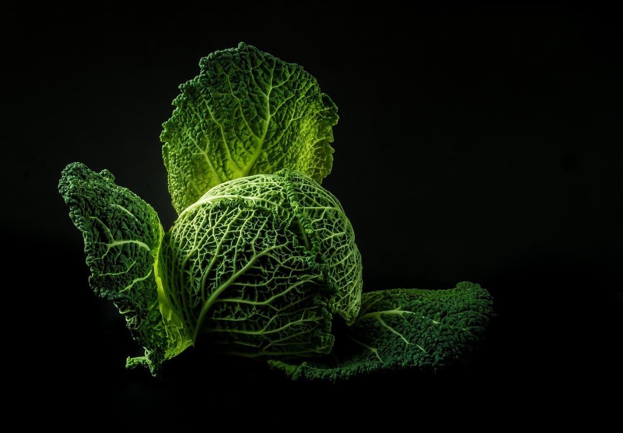 How to Track Supplier Recalls and Protect Your Restaurant